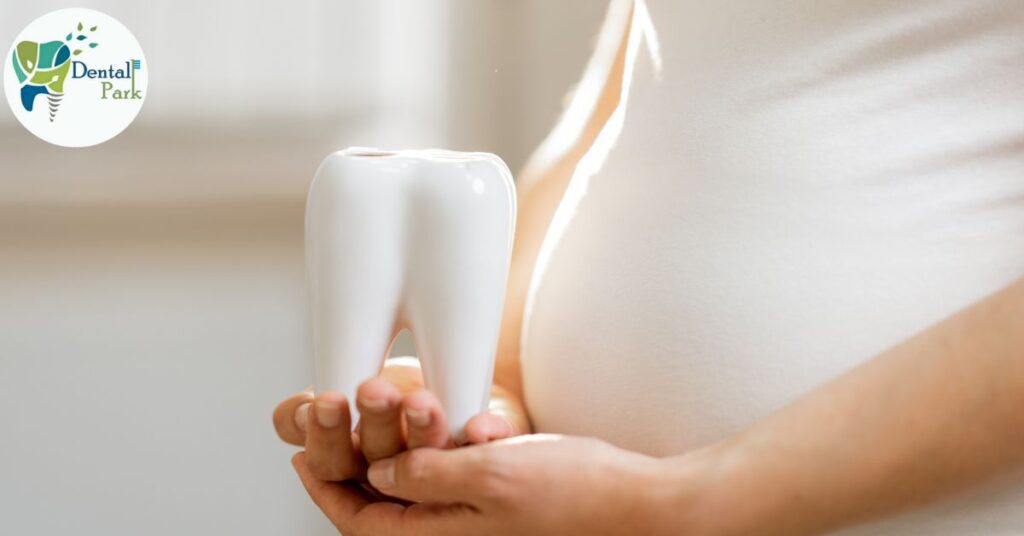 Dental Care During Pregnancy